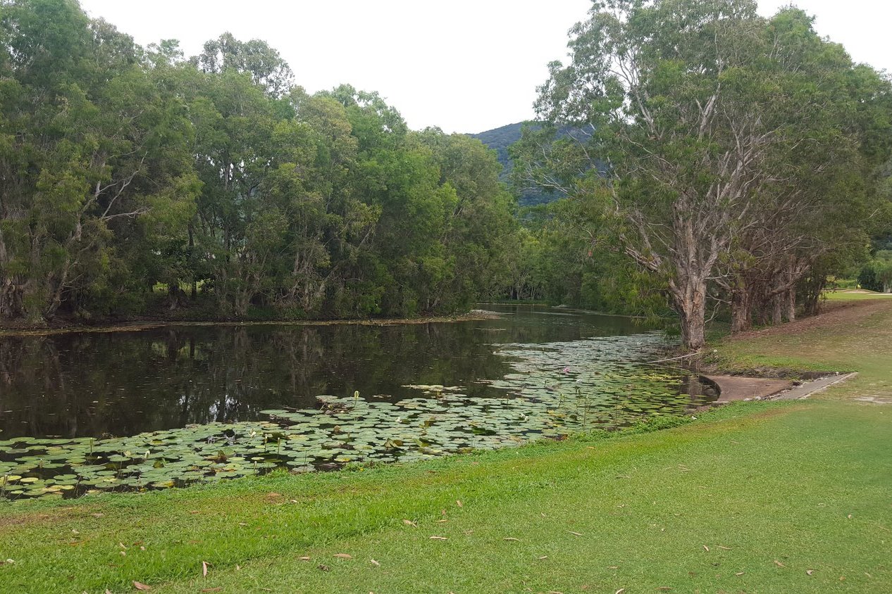 Original photo of the lily pond at Coral Coast, hole 3