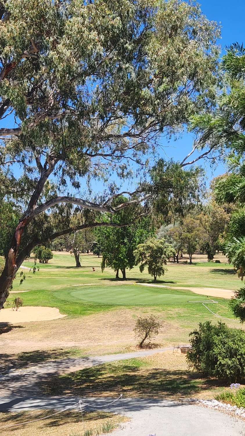 Original photo of the fairway at Corowa golf course