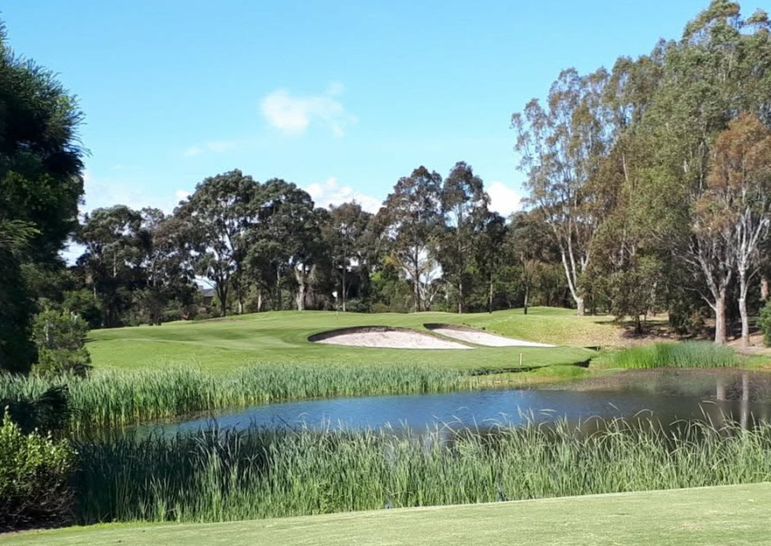 Original phone photo of the 15th green over the pond at Kingswood