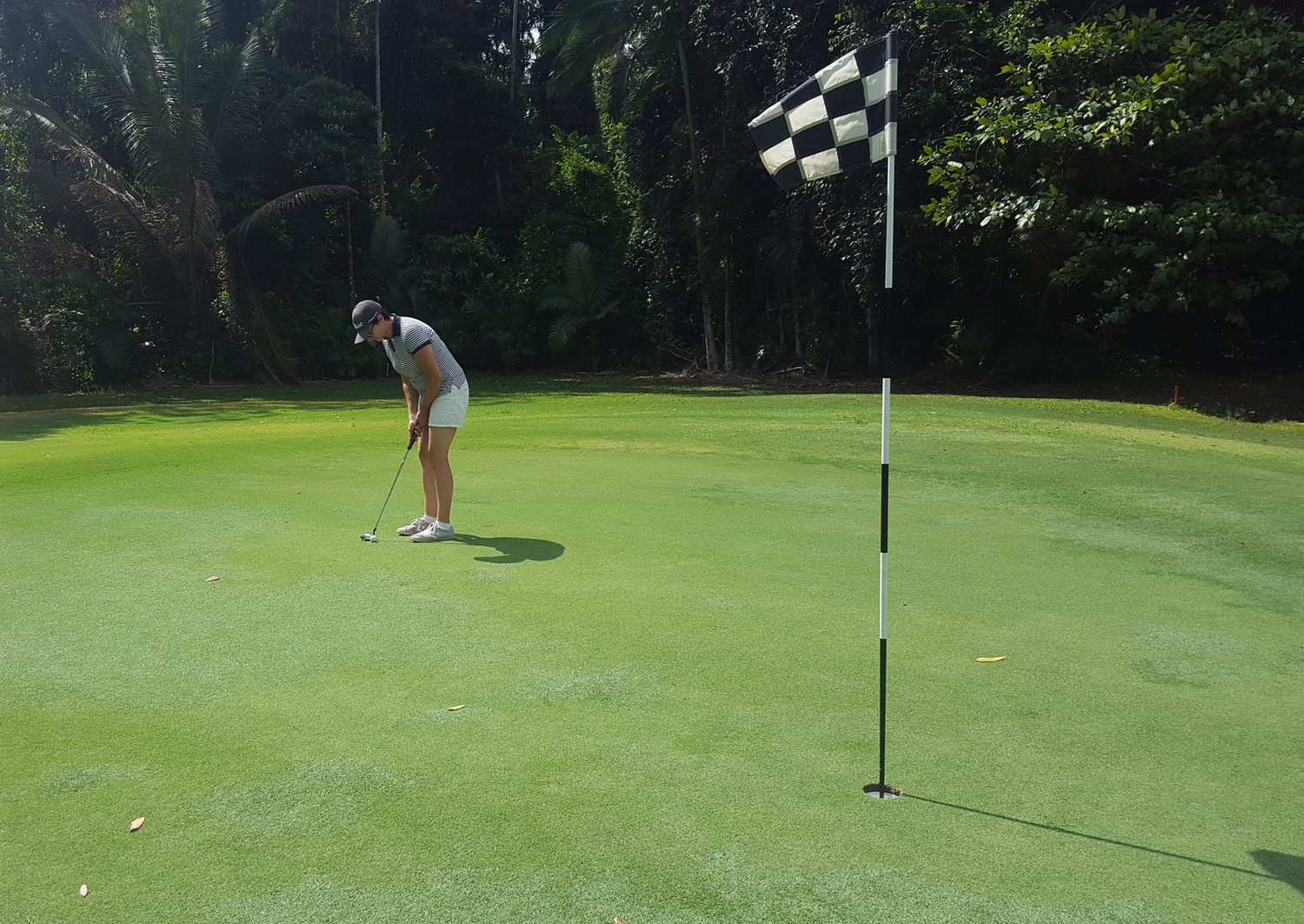 Original phone photo of a golfer putting beneath the chequered flag at Mossman
