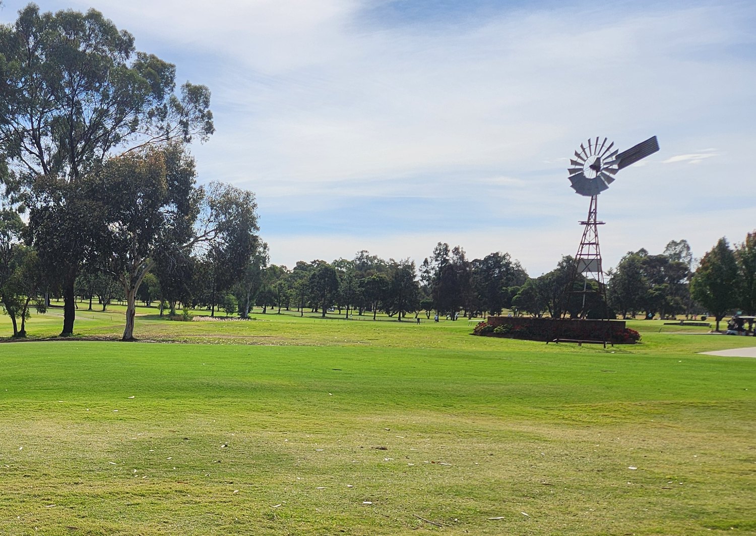Original phone photo of the windmill across the fairway at Rich River