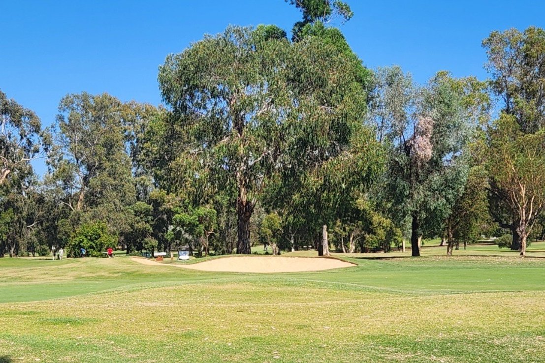 Original photo of bunkers and gum trees at Yarrawonga